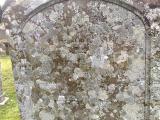 image number 2